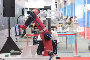 文物保護新思路 機器人技術在守護歷史遺產中的應用前景